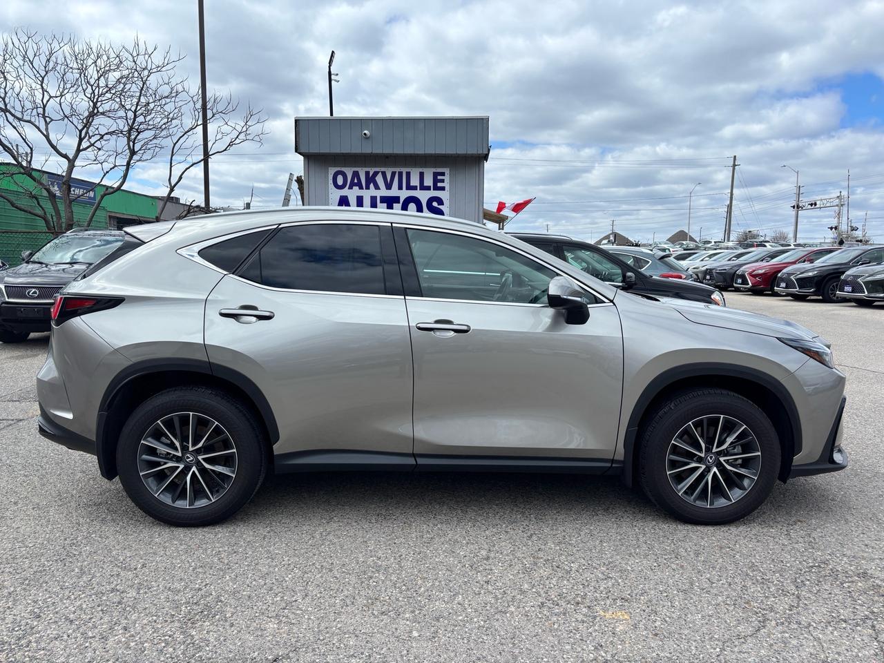2025 Lexus NX NX 350 AWD Photo