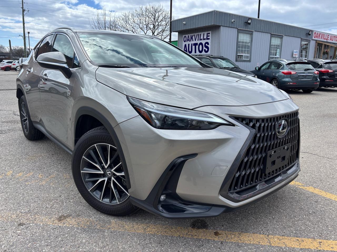 2025 Lexus NX NX 350 AWD Photo
