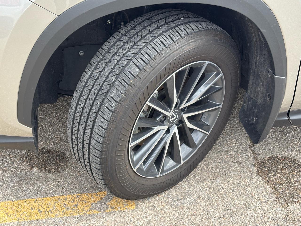 2025 Lexus NX NX 350 AWD Photo