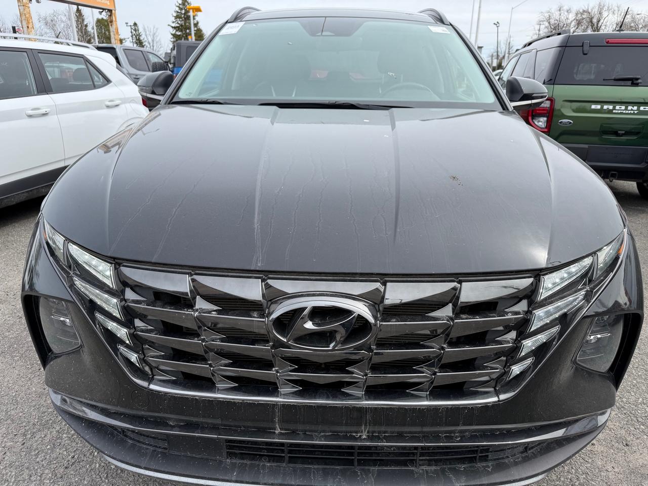 2023 Hyundai Tucson Preferred w/Trend Package Panoramic Roof! Leather! NAV! Photo