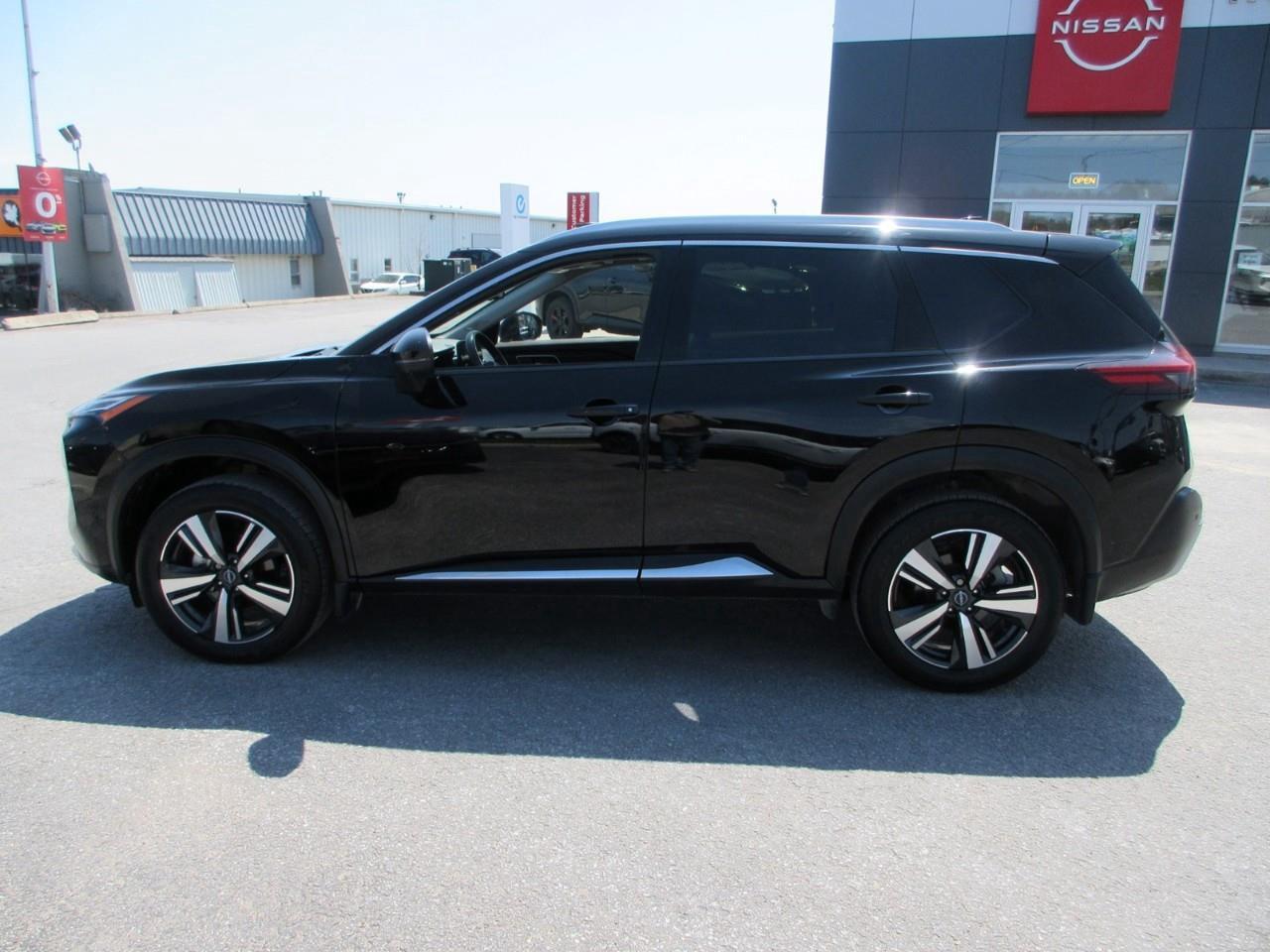 2023 Nissan Rogue Platinum Photo