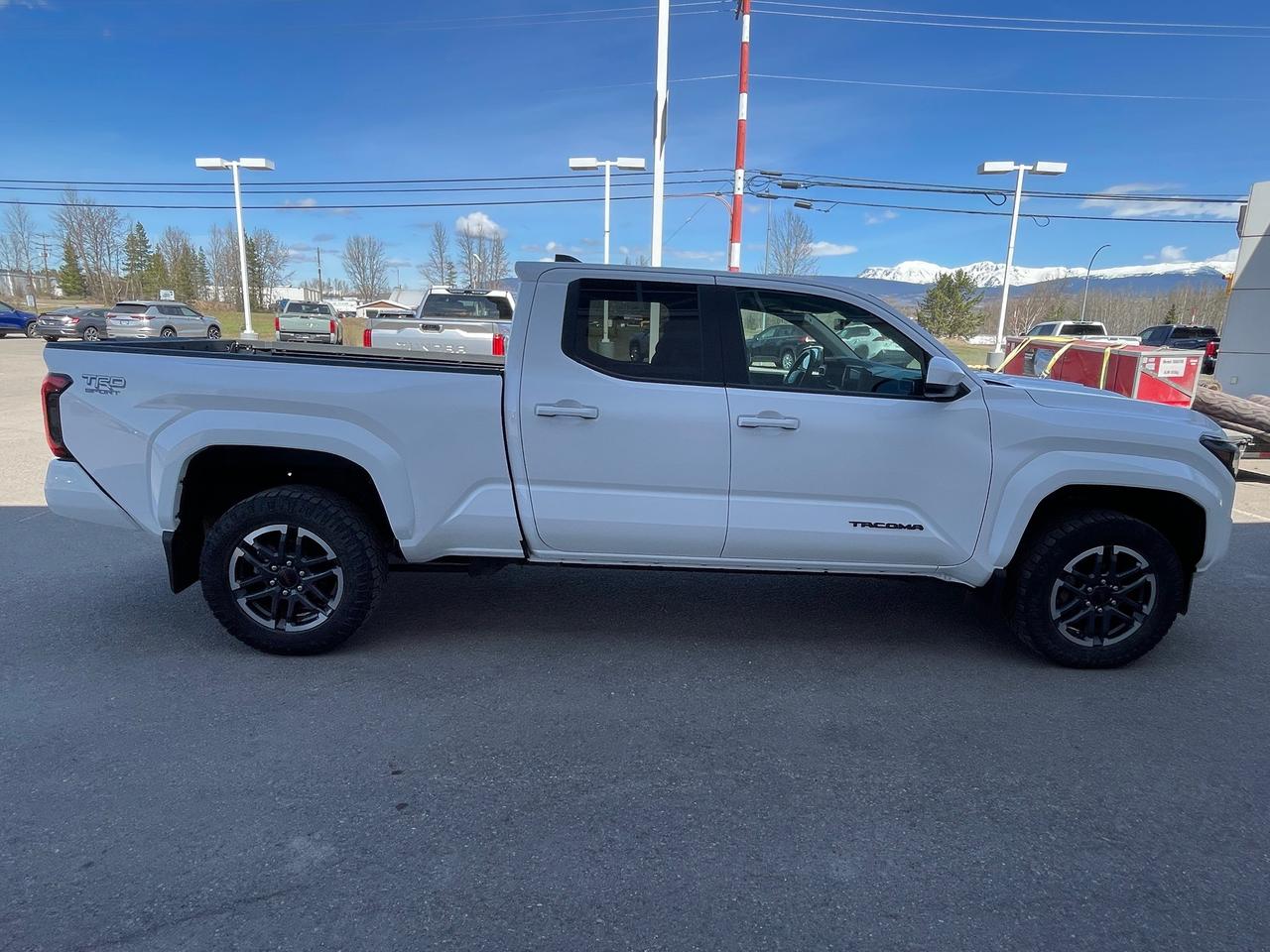 2024 Toyota Tacoma  Photo3