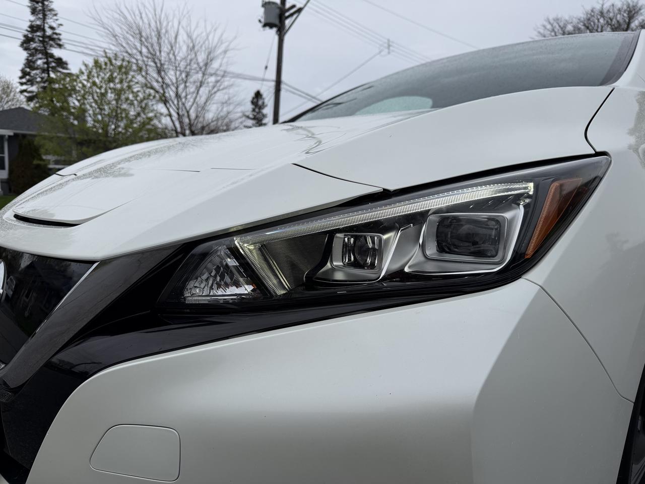 2018 Nissan Leaf SL Hatchback Photo