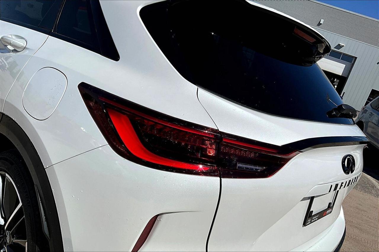 2025 Infiniti QX50 sport Photo