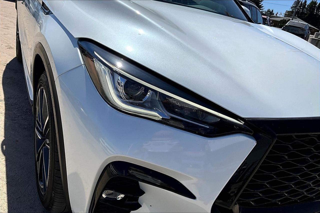 2025 Infiniti QX50 sport Photo