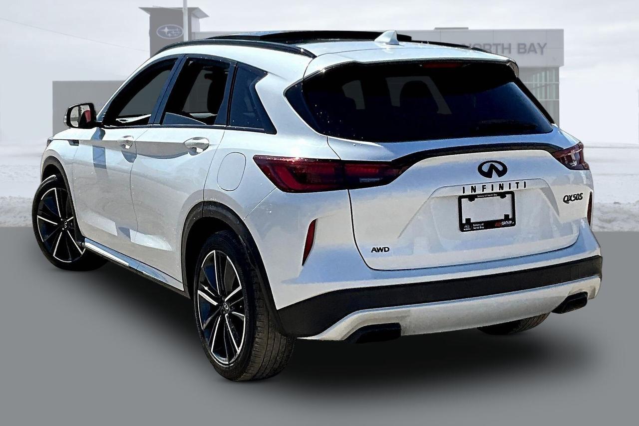 2025 Infiniti QX50 sport Photo