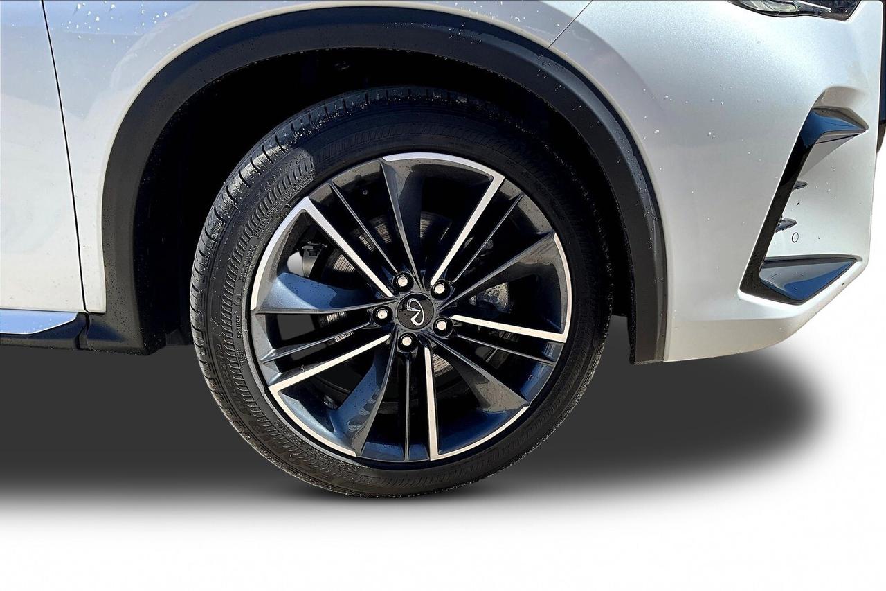 2025 Infiniti QX50 sport Photo