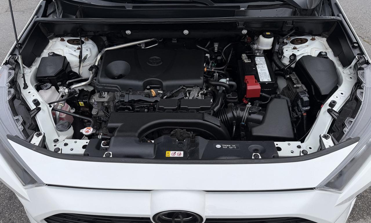 2020 Toyota RAV4 LE AWD Photo