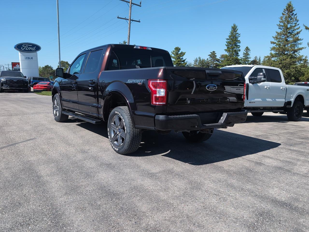 2020 Ford F-150 XLT 4WD SuperCrew 5.5' Box Photo3