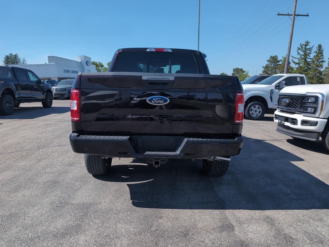 2020 Ford F-150 XLT 4WD SuperCrew 5.5' Box Photo4