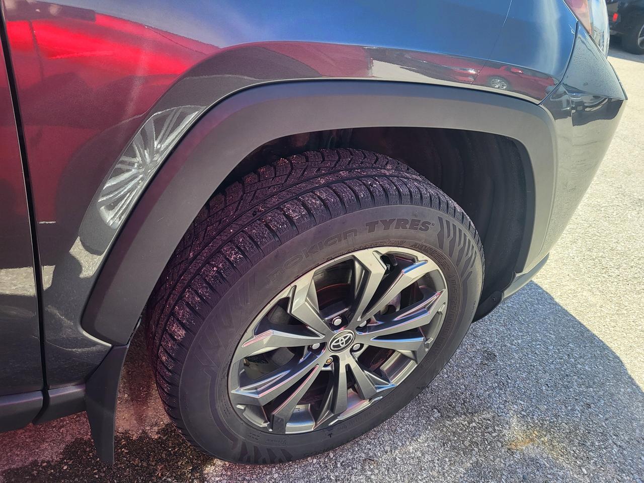 2023 Toyota RAV4 Hybrid Limited Photo