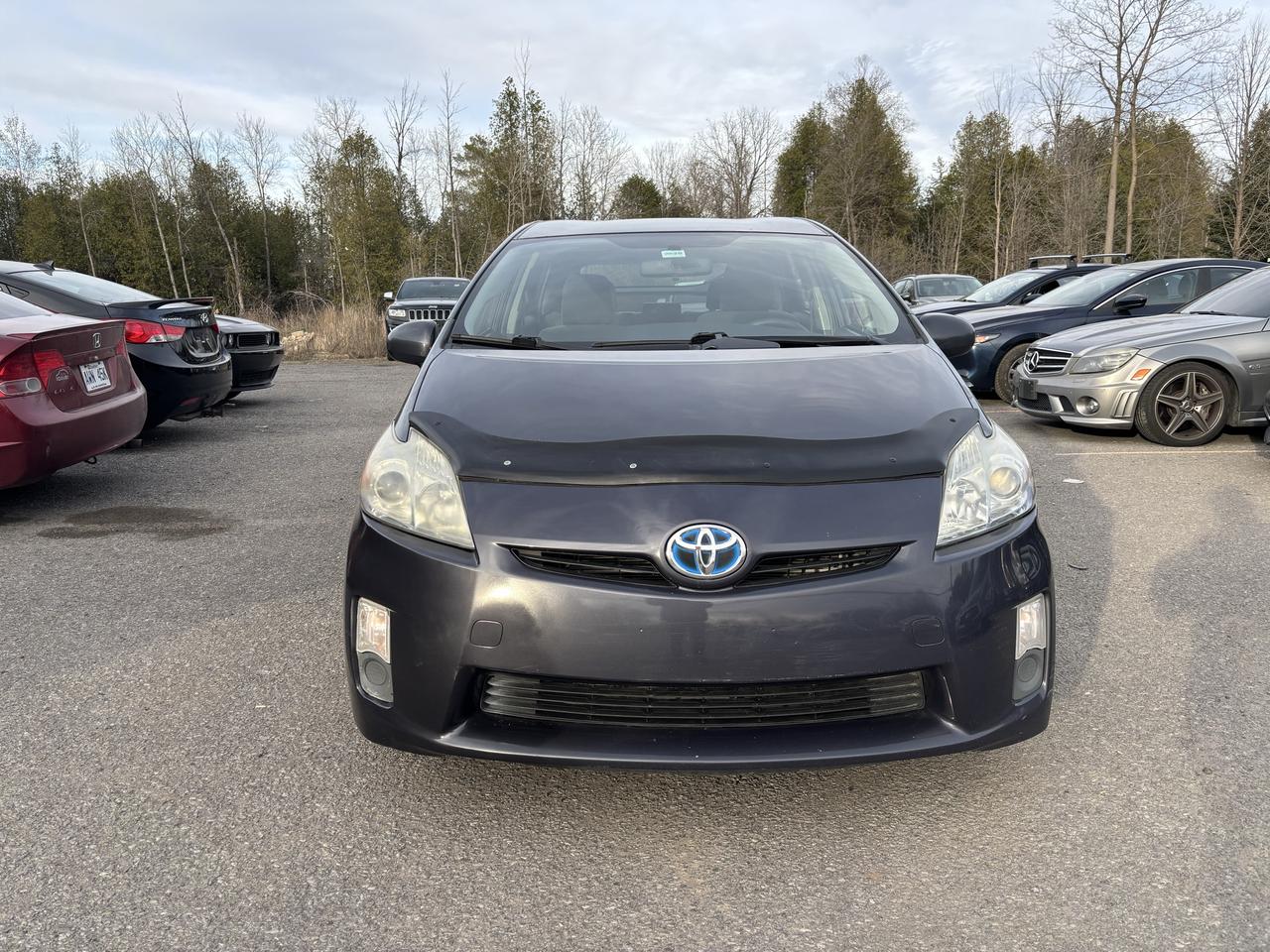 2010 Toyota Prius  Photo