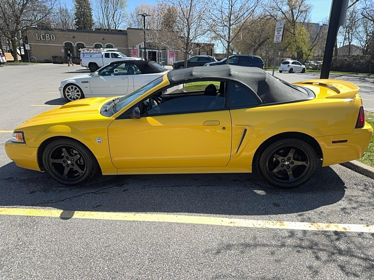 1999 Ford Mustang GT Photo