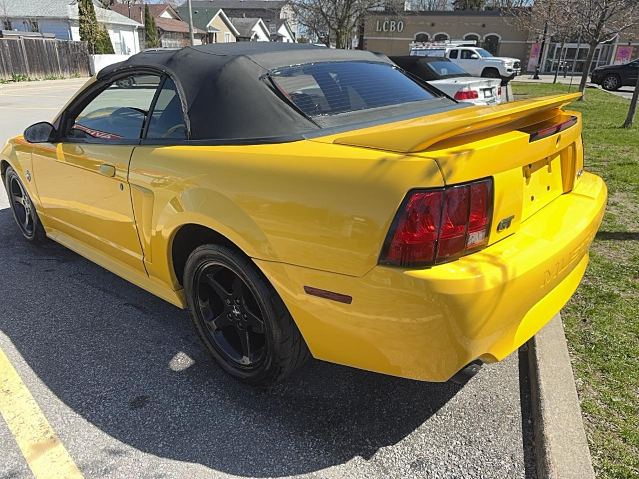 1999 Ford Mustang GT Photo