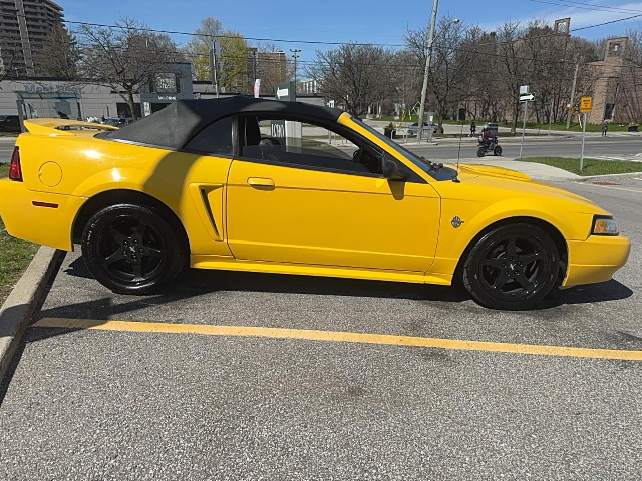 1999 Ford Mustang GT Photo
