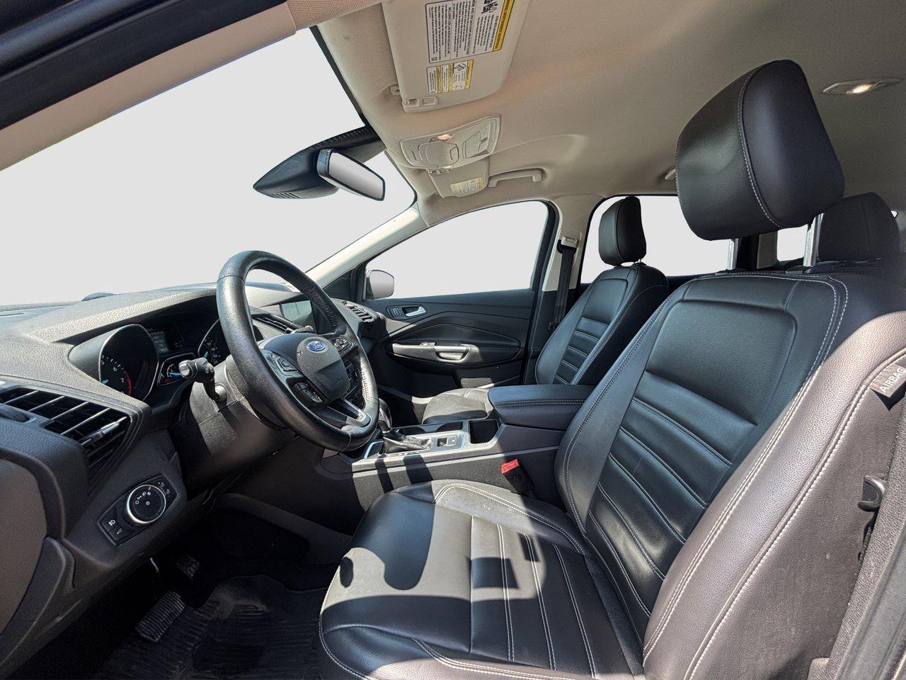 2019 Ford Escape SEL Photo