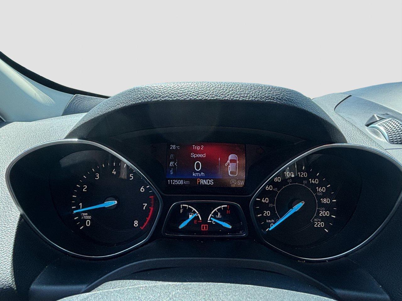 2019 Ford Escape SEL Photo