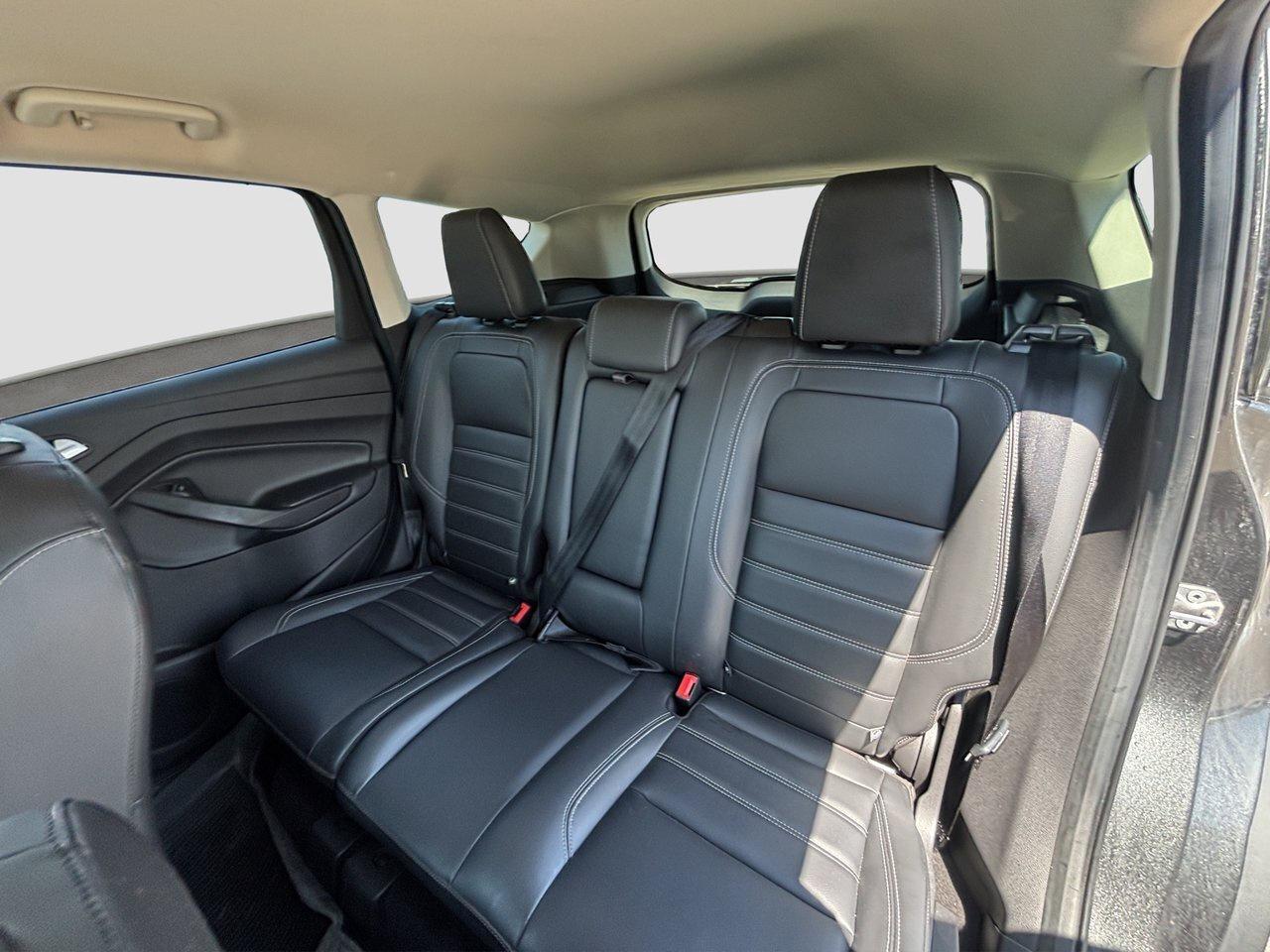 2019 Ford Escape SEL Photo