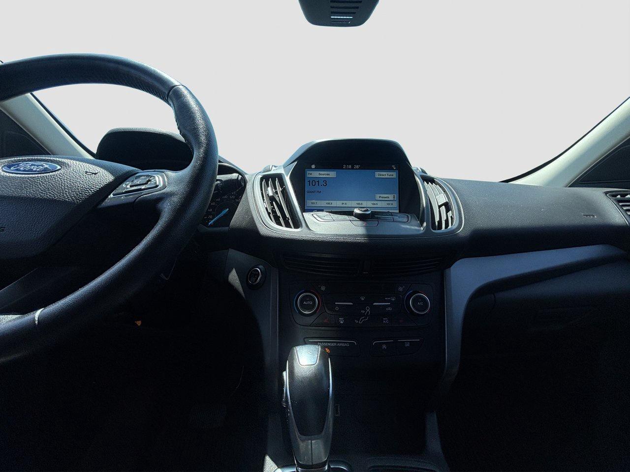 2019 Ford Escape SEL Photo