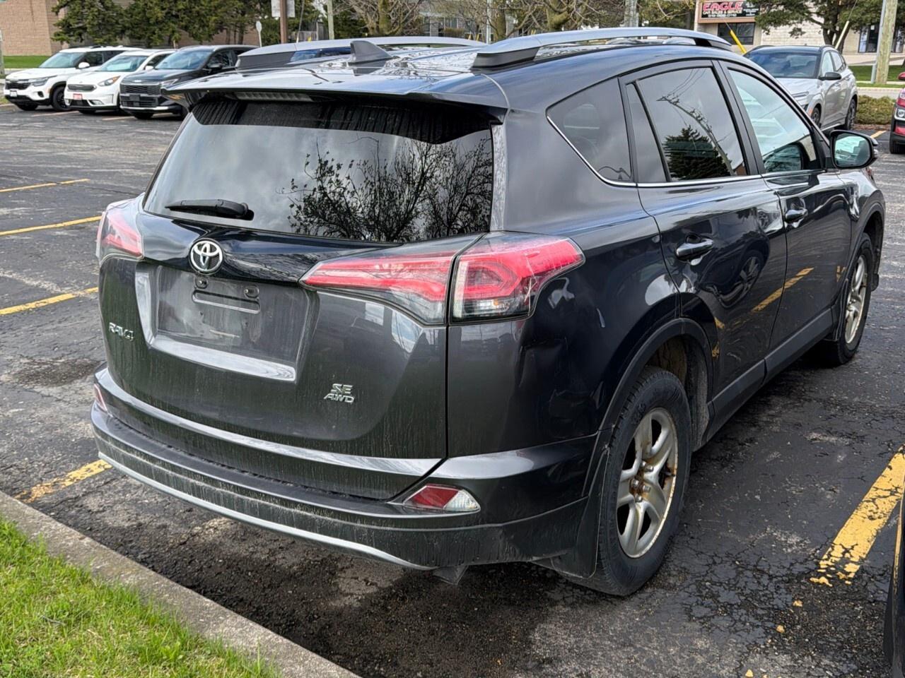 2017 Toyota RAV4 AWD 4dr SE Photo