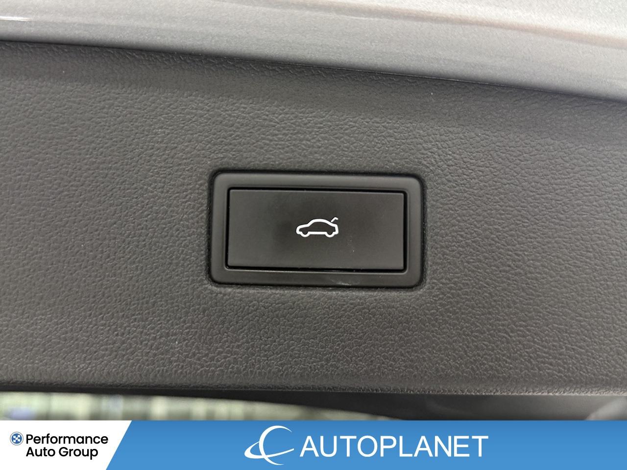 2022 Volkswagen Tiguan Comfortline AWD, Back Up Cam, Android Auto! Photo