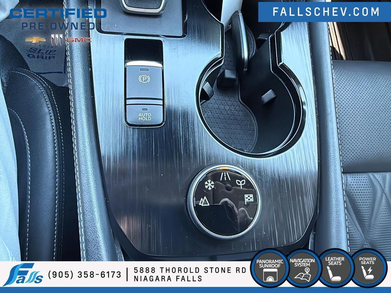 2025 Nissan Rogue Platinum LEATHER,PANO ROOF,NAV Photo