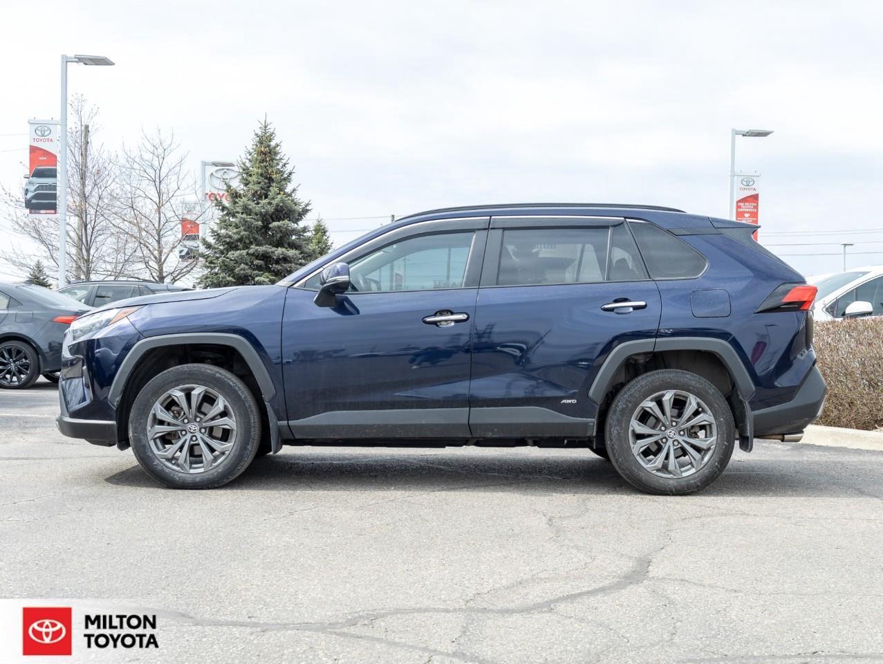 2023 Toyota RAV4 Hybrid LIMITED AWD LEATHER MOONROOF JBL ONE OWNER TCUV Li Photo