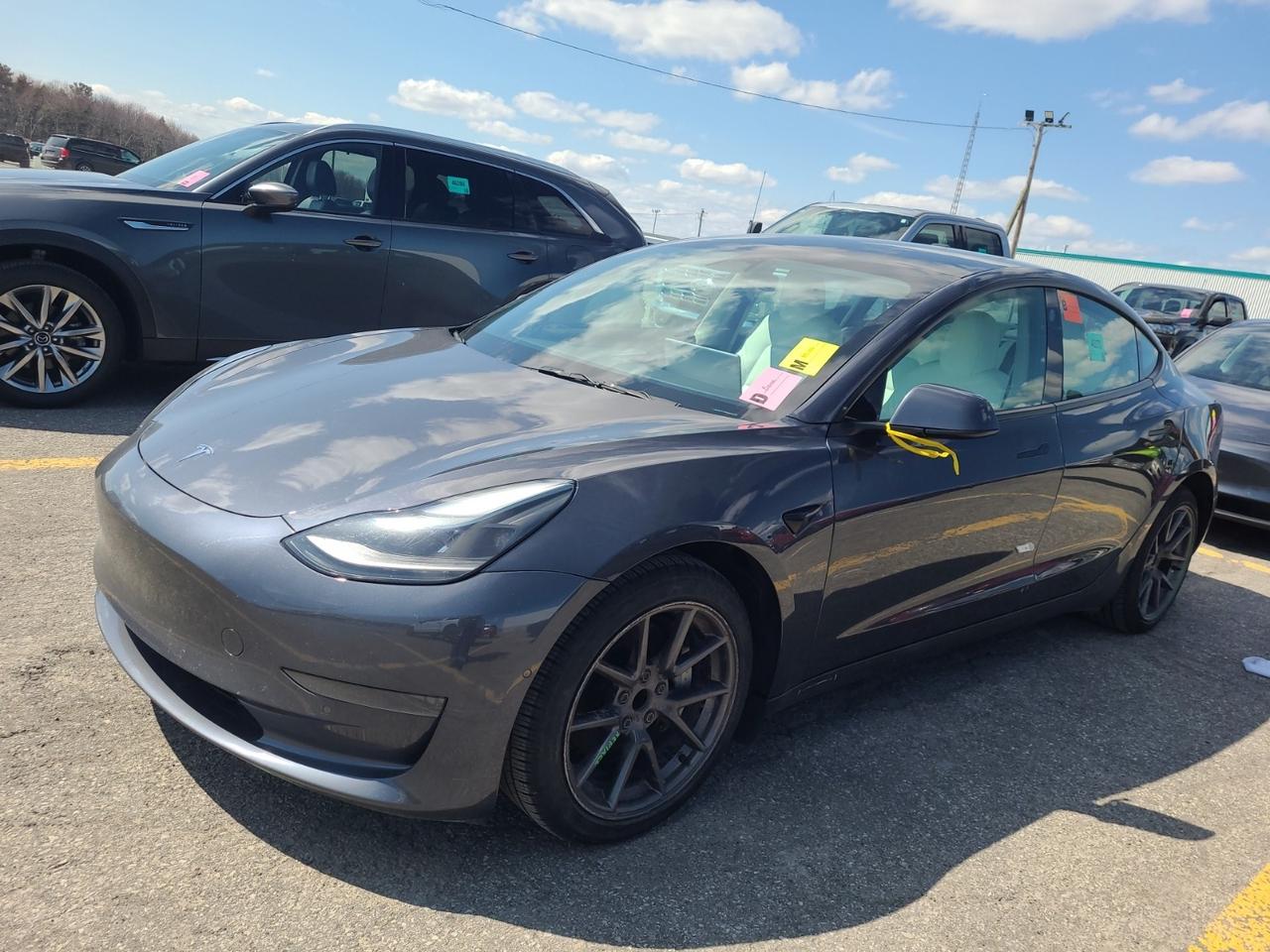 2022 Tesla Model 3 Standard Range l RWD l LFP Battery l FSD Comp 3 Photo0