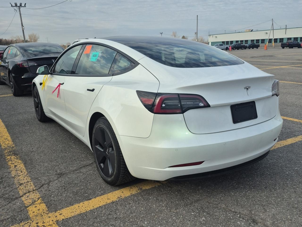 2021 Tesla Model 3 Standard Range Plus l RWD l AeroCaps l Charger Inc Photo