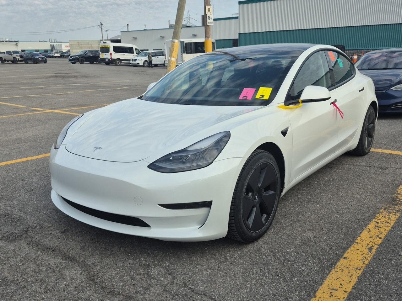 2021 Tesla Model 3 Standard Range Plus l RWD l AeroCaps l Charger Inc Photo