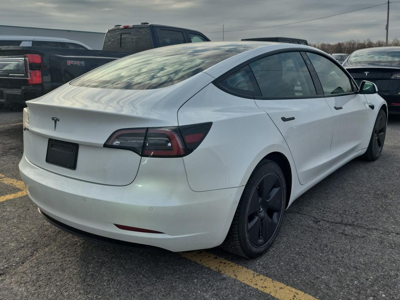2021 Tesla Model 3 Standard Range Plus l RWD l AeroCaps l Charger Inc Photo