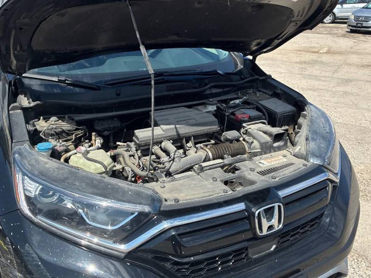 2022 Honda CR-V No Accidents l FWD l LX l Honda Warranty l 1.5T l Photo