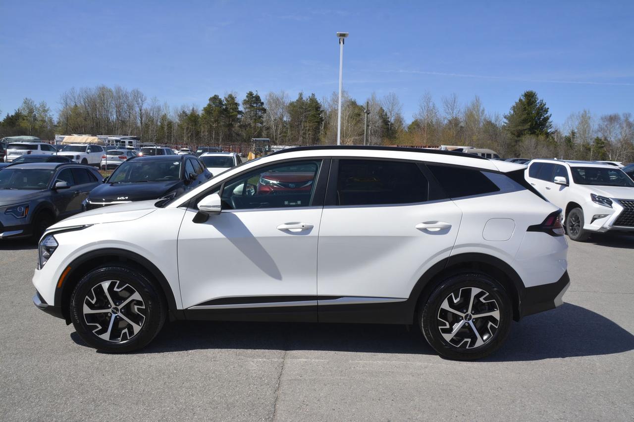 2025 Kia Sportage  Photo
