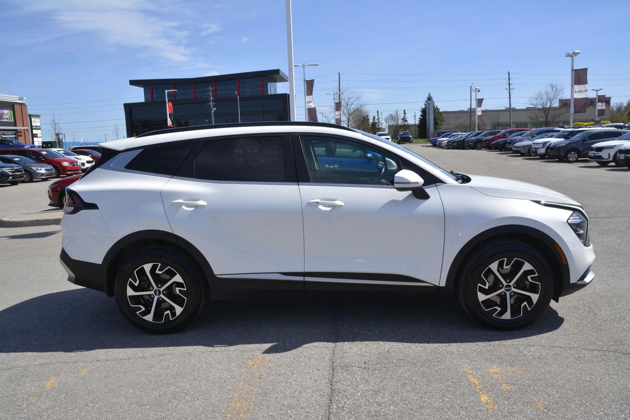 2025 Kia Sportage  Photo