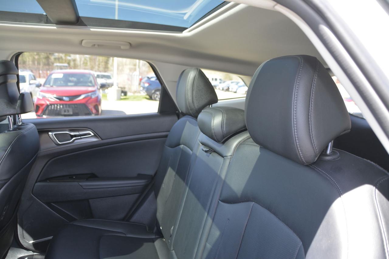 2025 Kia Sportage  Photo