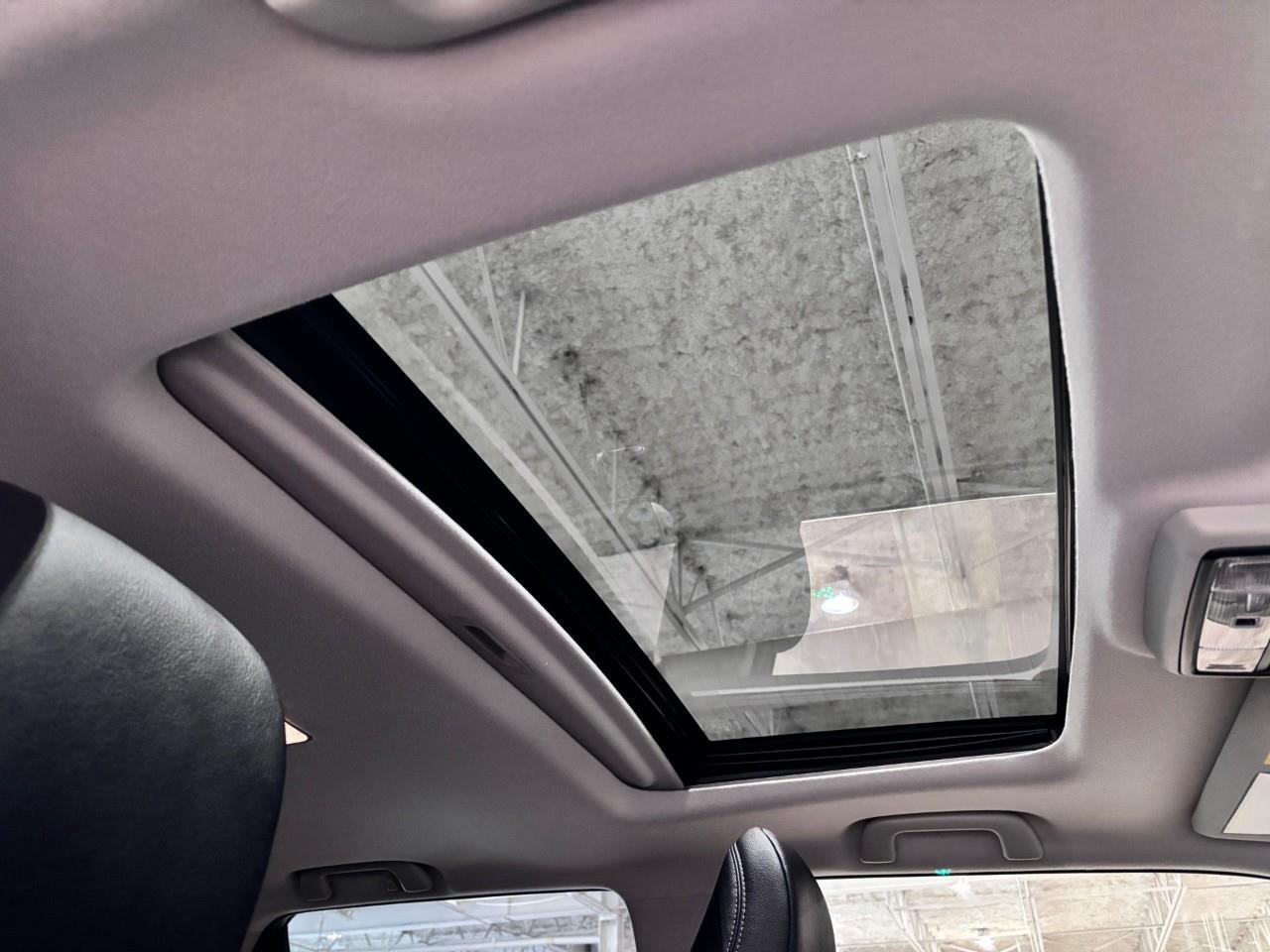 2023 Toyota 4Runner  Photo