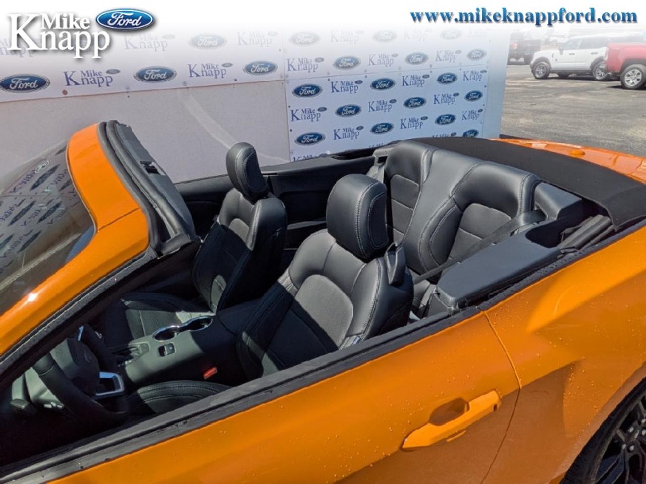 2026 Ford Mustang GT Premium Photo