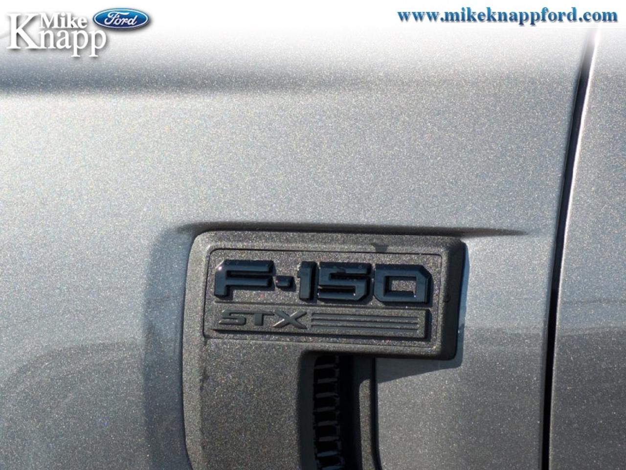 2026 Ford F-150 STX Photo