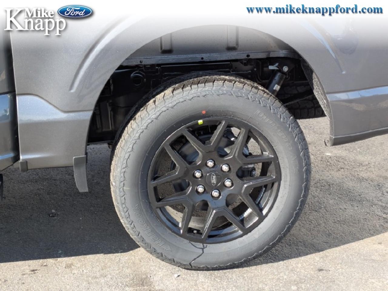 2026 Ford F-150 STX Photo