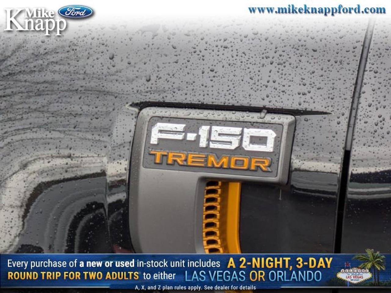2026 Ford F-150 Tremor Photo