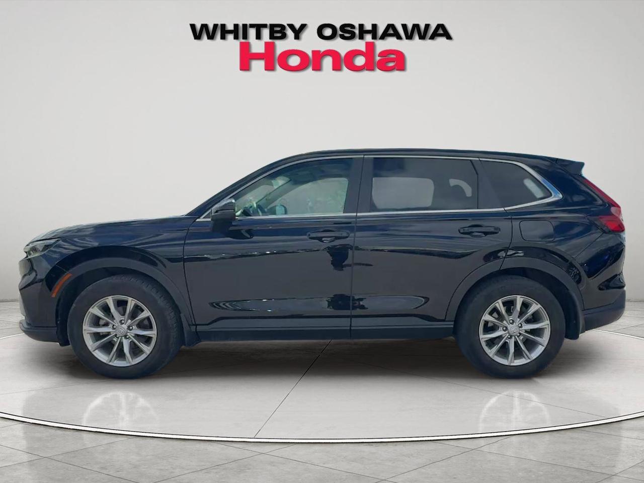 2024 Honda CR-V EX-L AWD Photo