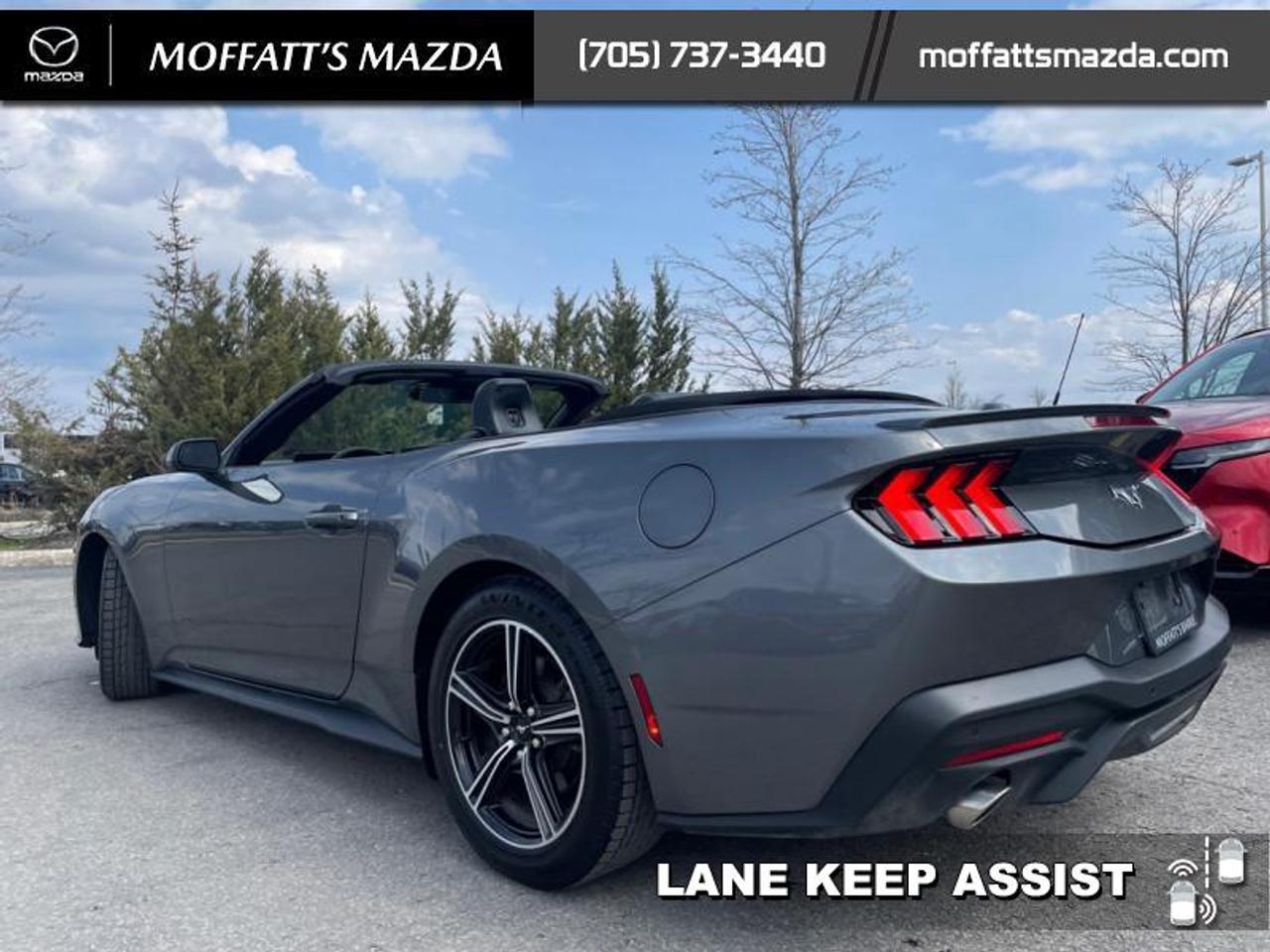 2025 Ford Mustang EcoBoost Photo