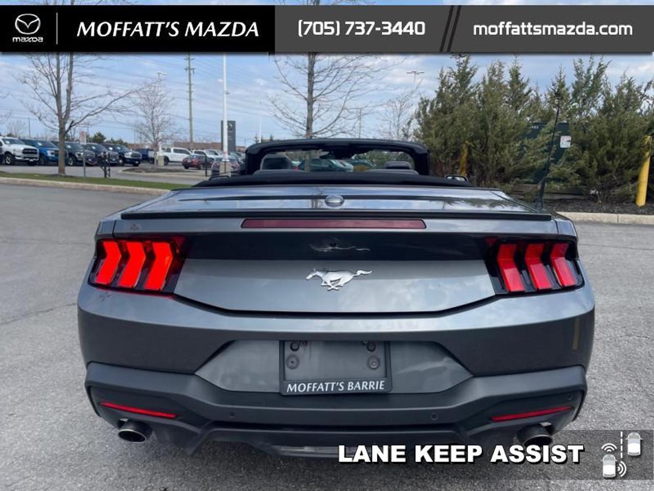 2025 Ford Mustang EcoBoost Photo