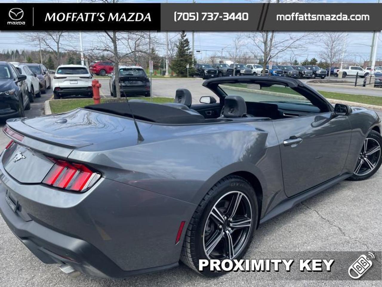 2025 Ford Mustang EcoBoost Photo