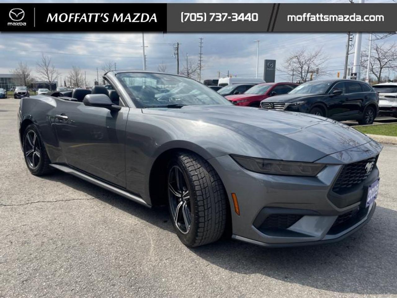 2025 Ford Mustang EcoBoost Photo