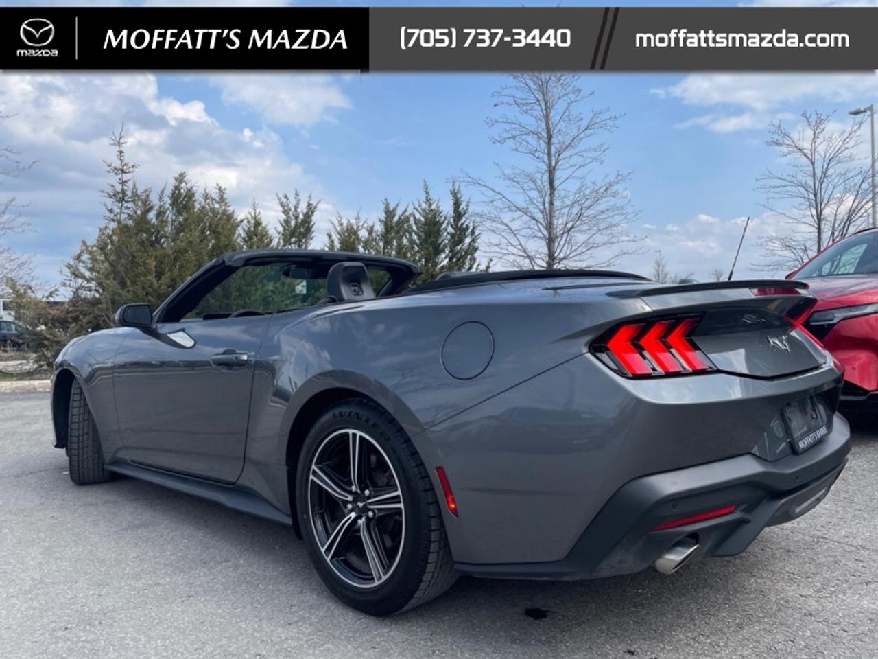 2025 Ford Mustang EcoBoost Photo