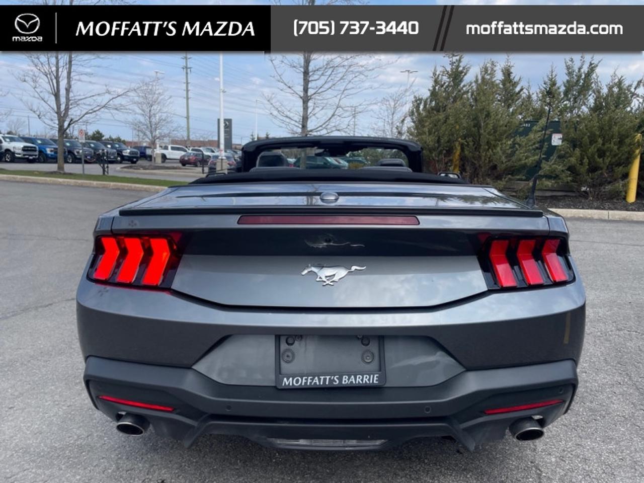 2025 Ford Mustang EcoBoost Photo