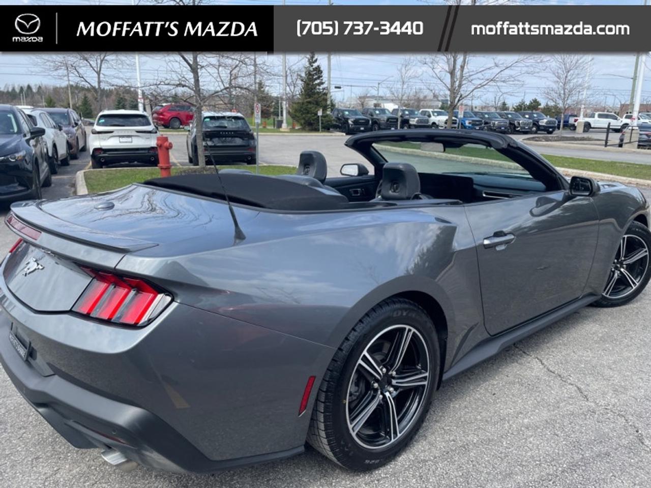 2025 Ford Mustang EcoBoost Photo