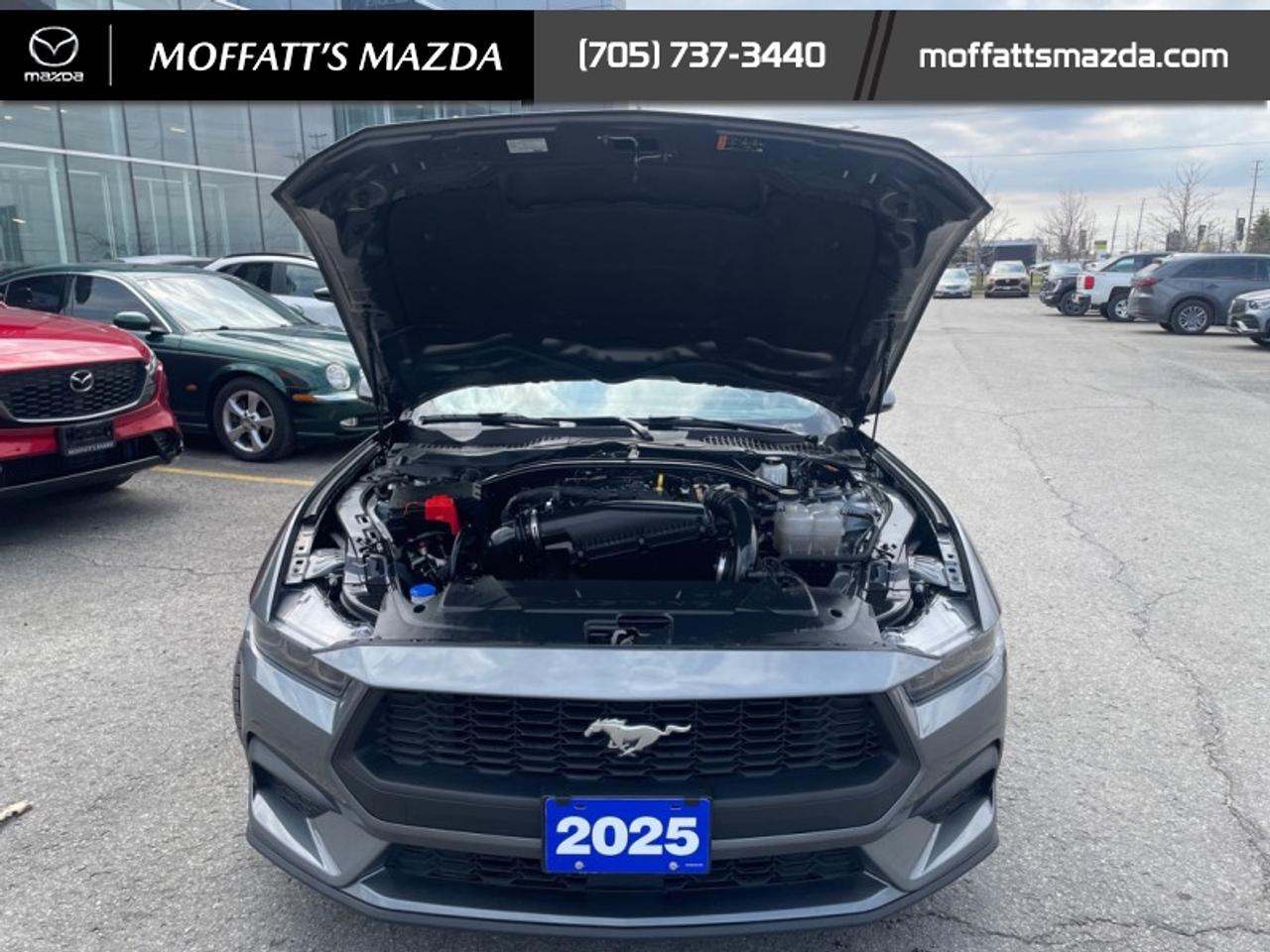 2025 Ford Mustang EcoBoost Photo