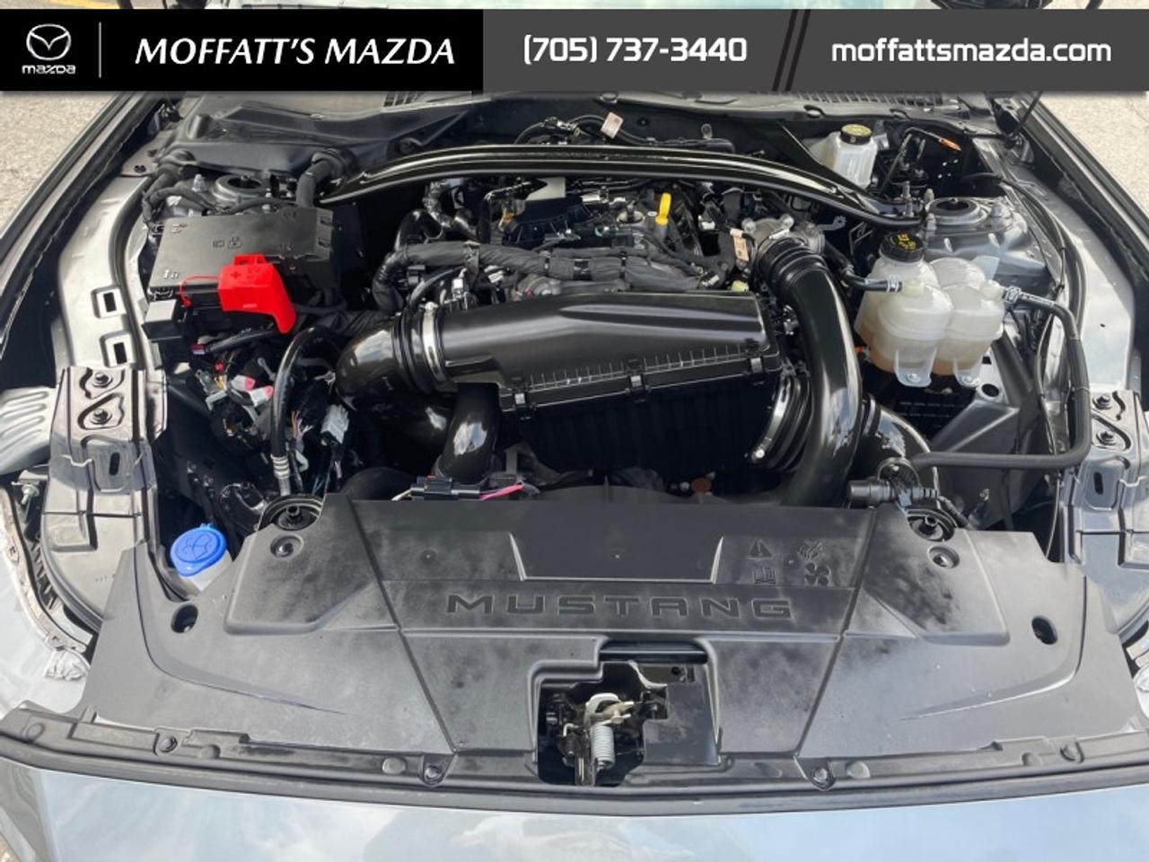 2025 Ford Mustang EcoBoost Photo